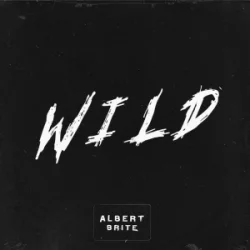 Мұқаба Albert Brite - Wild (Slowed)