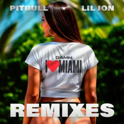 Мұқаба Pitbull & Lil Jon - Damn I Love Miami (Apollo XO Remix)