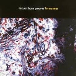 Мұқаба Natural Born Grooves - Forerunner (Future Breeze Mix)