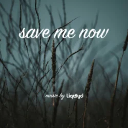 Мұқаба LiQWYD - Save me now