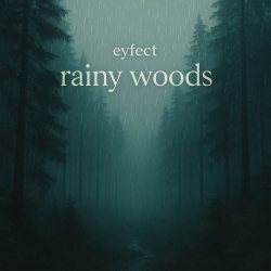 Мұқаба eyfect - rainy woods
