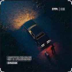 Мұқаба DNDM - Stress