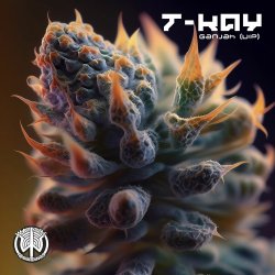 Мұқаба T-Kay - Ganjah VIP (Original Mix)