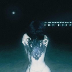 Мұқаба bulletrain - dragontattoo (slowed)