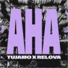 Мұқаба Tujamo & Relova - Aha Tujamo & Relova - Aha