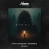 Мұқаба D.HASH & ILYA SECHKIN & BORDERMIND - The Riddle D.HASH & ILYA SECHKIN & BORDERMIND - The Riddle