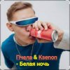 封面 Пчела & Ksenon - Белая ночь Пчела & Ksenon - Белая ночь