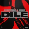 Мұқаба The Good Son & TORREX - Dile The Good Son & TORREX - Dile
