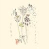 Мұқаба Holly Henry - Citrus Holly Henry - Citrus