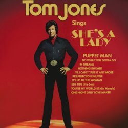Мұқаба Tom Jones - She's A Lady