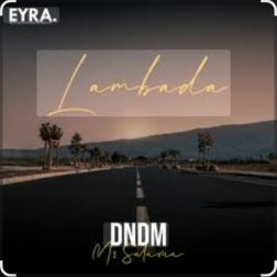 Мұқаба DNDM & Mr Salama - Lambada