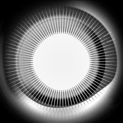 Мұқаба Disclosure - Moonlight