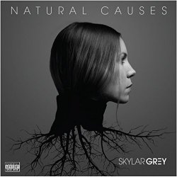 Мұқаба Skylar Grey - Jump