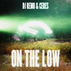 Мұқаба Dj Remo & CERES - On The Low