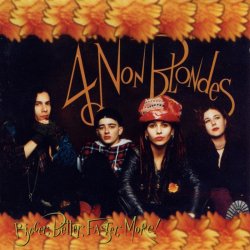 Мұқаба 4 Non Blondes - Train