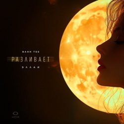 Мұқаба Bahh Tee & Эллаи - Разливает