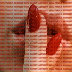 Мұқаба 5sta Family - Антидот