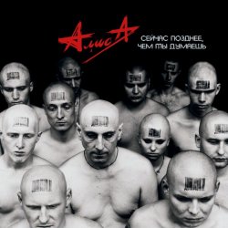 Мұқаба Алиса - Небо славян