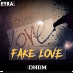 Мұқаба DNDM - Fake Love