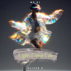 Мұқаба MD Dj & Oliver D - Lights Down Low