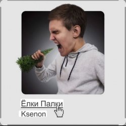 Мұқаба Ksenon - Ёлки-палки