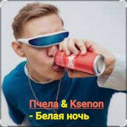 Мұқаба Пчела & Ksenon - Белая ночь