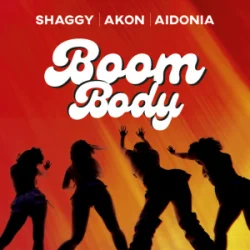 Мұқаба Shaggy & Akon & Aidonia - Boom Body