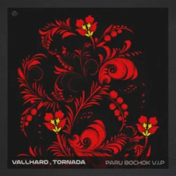 Мұқаба Vallhard & Tornada - Paru Bochok V.I.P