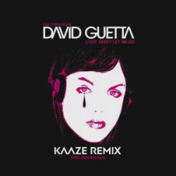 Мұқаба David Guetta & Chris Willis - Love Don't Let Me Go (KAAZE Remix)