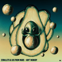 Мұқаба 22Bullets & DJs From Mars - Ain't Nobody