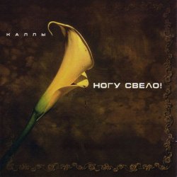 Мұқаба Ногу свело! - Ave Maria