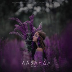 Мұқаба Шалих - Лаванда