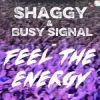 Мұқаба Shaggy & Busy Signal - Feel The Energy Shaggy & Busy Signal - Feel The Energy