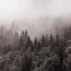 Мұқаба Y.K. Music - У Тумані Y.K. Music - У Тумані