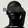 Мұқаба SHADU - Boom Boom SHADU - Boom Boom