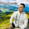 Мұқаба ВАНЯ ЛАБАЧ - У ГОРАХ СИНІХ (ВАТРА) ВАНЯ ЛАБАЧ - У ГОРАХ СИНІХ (ВАТРА)