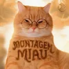 Мұқаба Lenar - Montagem Miau Lenar - Montagem Miau