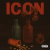 Мұқаба MIKOLAS - ICON MIKOLAS - ICON