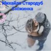 Мұқаба Михайло Стародуб - Сніжинка Михайло Стародуб - Сніжинка