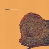 Мұқаба Calibre - dim light Calibre - dim light