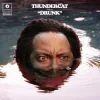 Мұқаба Thundercat - Friend Zone Thundercat - Friend Zone