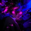 Мұқаба Dj Samir & Fyex - Montagem Rave Eterno Dj Samir & Fyex - Montagem Rave Eterno