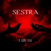 Мұқаба SESTRA - Я для тебе SESTRA - Я для тебе