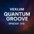 Мұқаба Vexlum - Quantum Groove 010