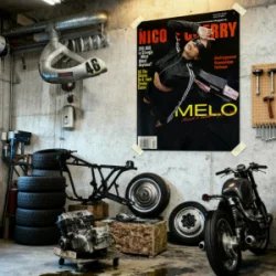 Мұқаба Nicole Cherry - Melo