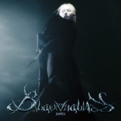 Мұқаба K Lu - Black Vitality