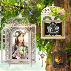 Мұқаба Akiko Shikata - Kuuhaku no Mori
