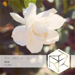 Мұқаба DJ Classbuse & SINKin - Zhizi (Intro Mix)