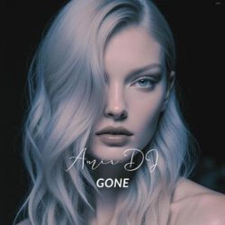 Мұқаба Amir DJ - Go Away