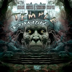 Мұқаба Abigail Noises x Shabboo Harper - Temple Of Knowledge
